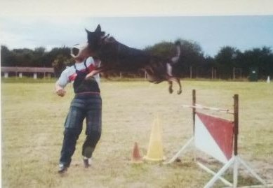Publication : Des loups du coin de la fontaine