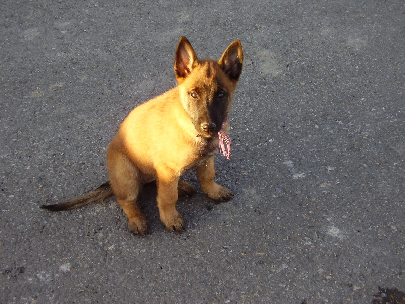Publication : des gardiens du ventoux