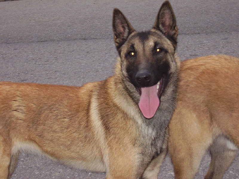 Beth des gardiens du ventoux - 2 tres bon