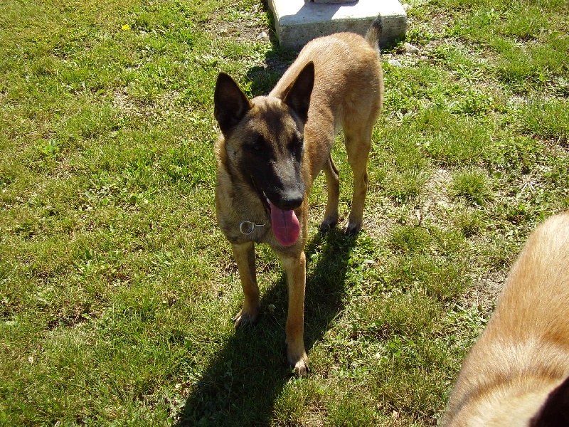 Beth des gardiens du ventoux - 2 ieme tres bon