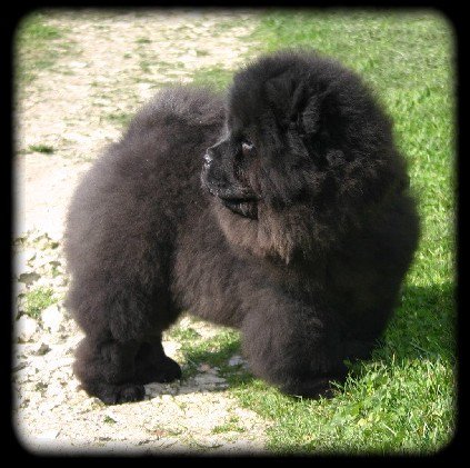 Publication : du prieuré aux comtes