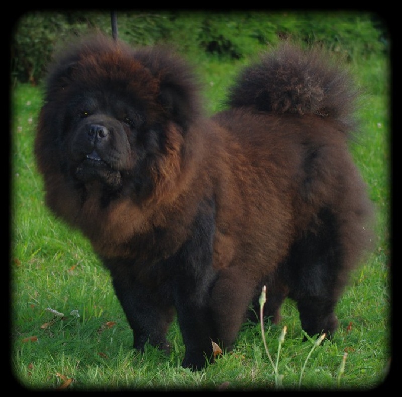 Publication : du prieuré aux comtes