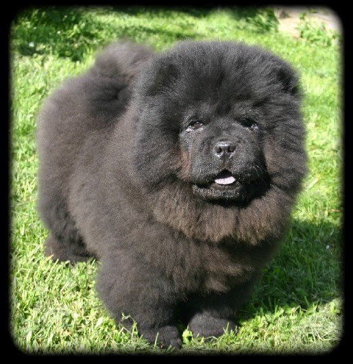 Publication : du prieuré aux comtes