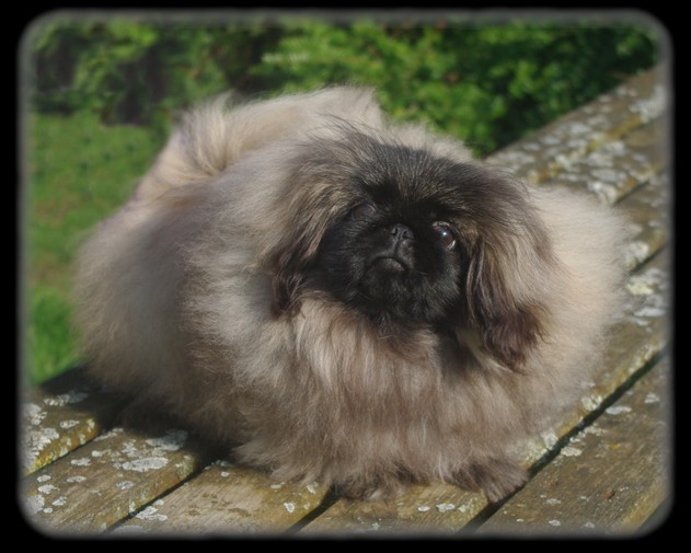 Publication : du prieuré aux comtes