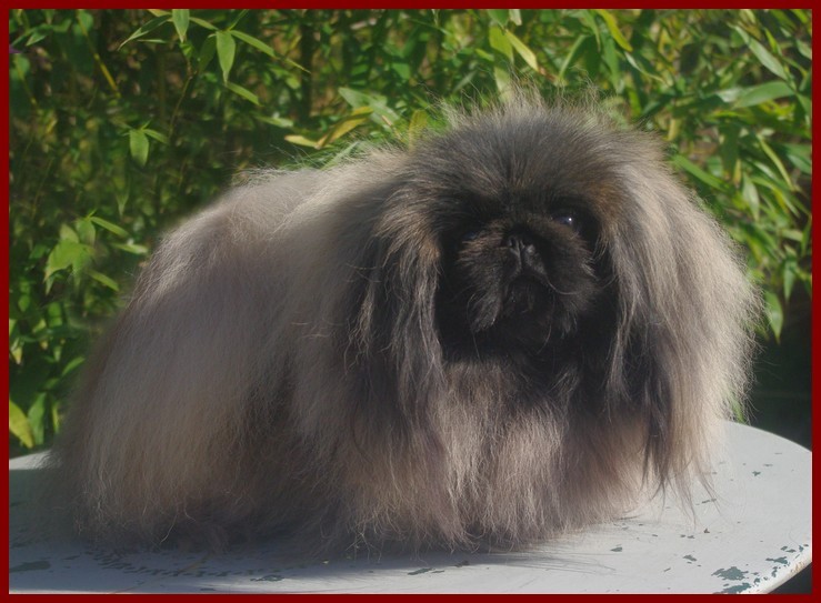 Publication : du prieuré aux comtes