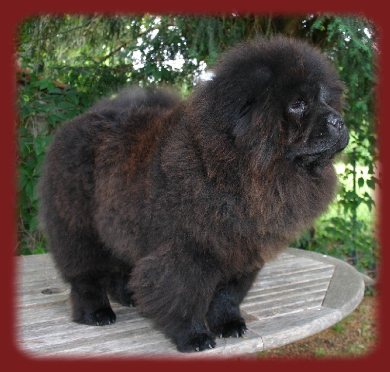 Publication : du prieuré aux comtes