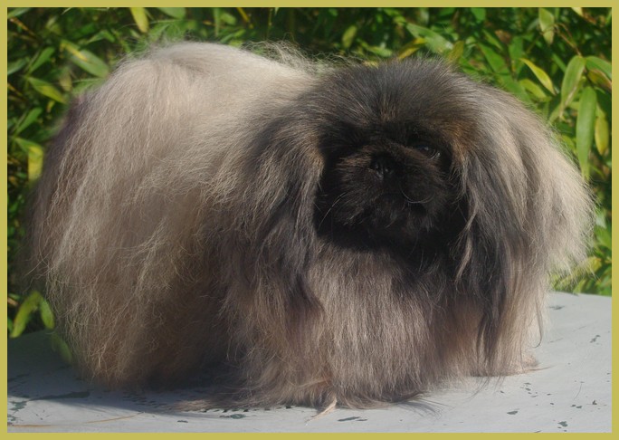 Publication : du prieuré aux comtes