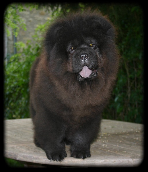 Publication : du prieuré aux comtes