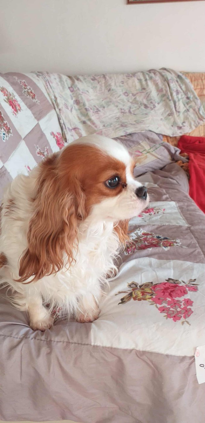 Publication : du Val de Courame Auteur : le val de courame