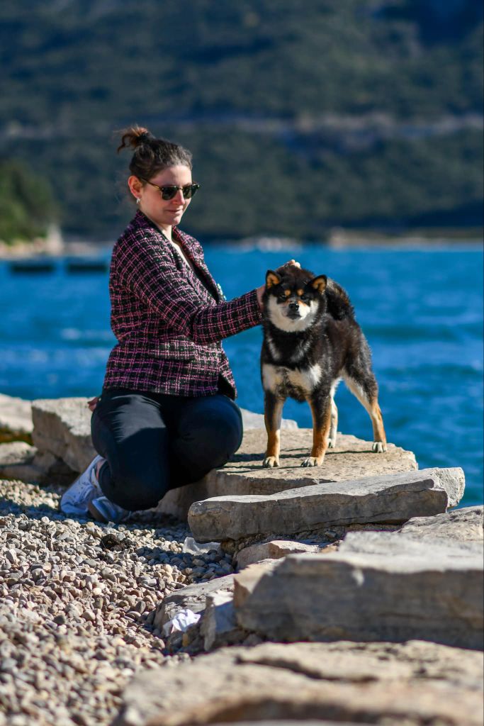 CH. Big flauer nippo kara no raida for exceligmos - Champion de Bosnie Champion fédéral de Bosnie et Grand Champion de Bosnie