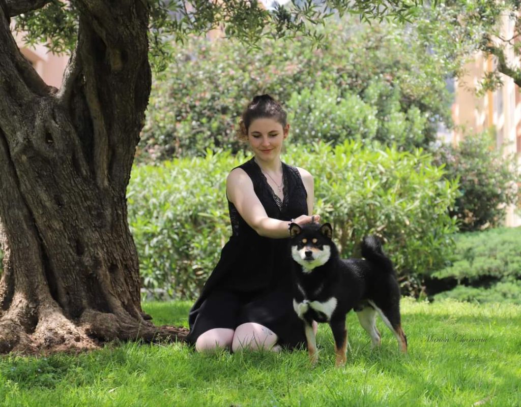 CH. Big flauer nippo kara no raida for exceligmos - Cacs meilleur de race