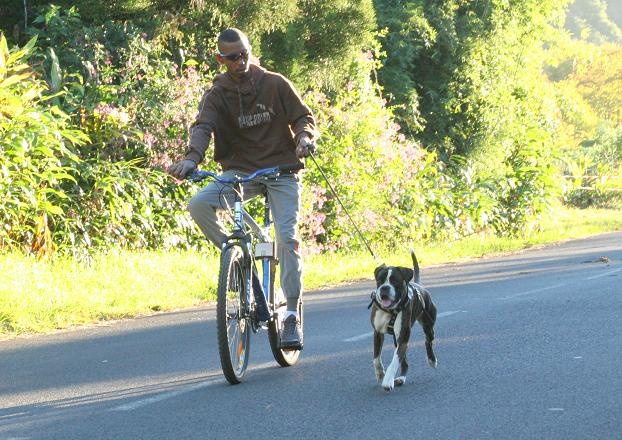 Elisa von Tropenstamm - AE