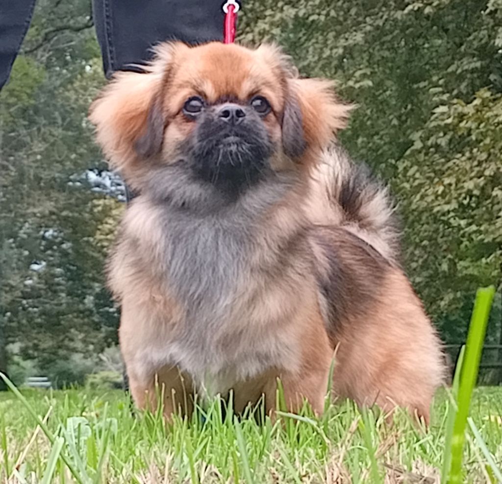 Always the sun de La Valoubiere