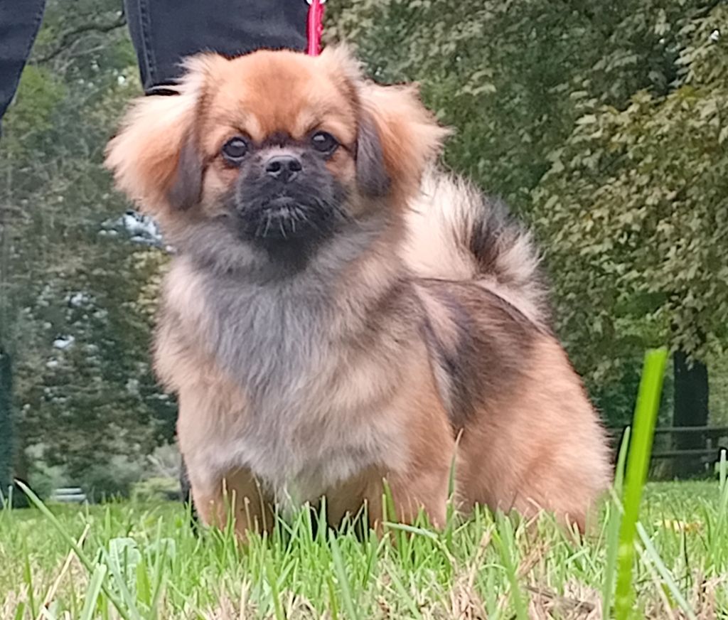 Always the sun de La Valoubiere