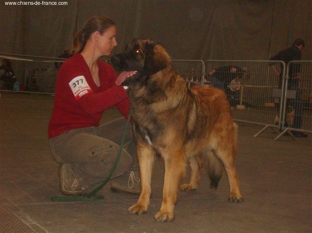 CH. Aglaé bohémia du domaine de la ponctuation - 2eme EXC en classe jeune