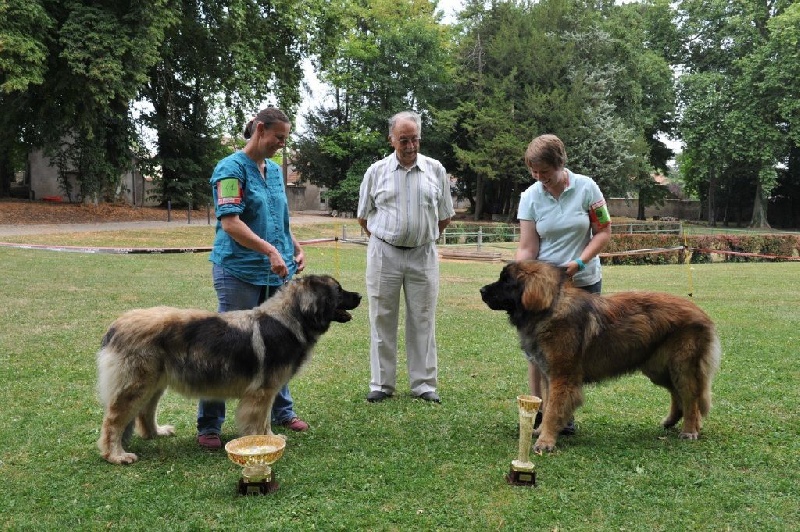 CH. Dynamik jedi de l'arche de caux - 1ere Meilleure femelle