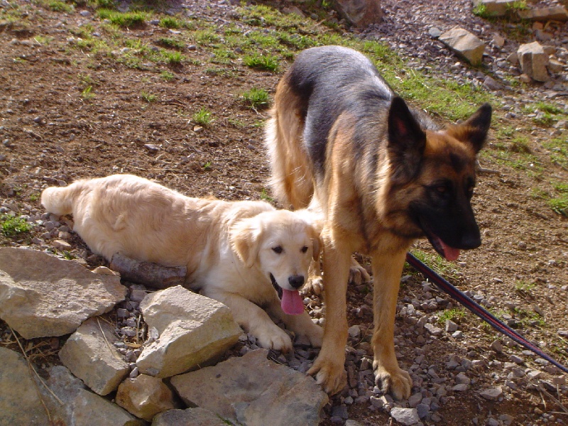 Publication : de la Roche des Brumes