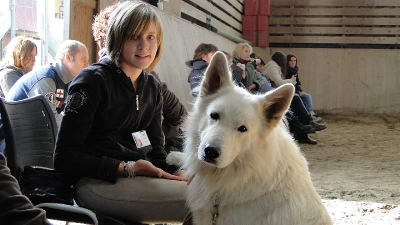 Publication : de la Roche des Brumes Auteur : PANCHAUD