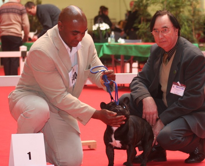 Ford d'apollon grab Du domaine de liana - C.A.C.S - meilleur de race