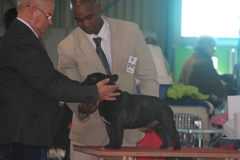 Ford d'apollon grab Du domaine de liana - C.A.C.S