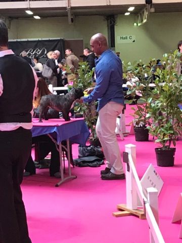 bon viktory Thai way - 2 Excellent