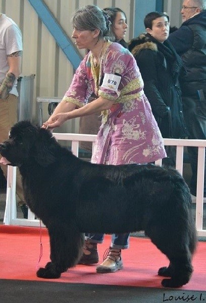 Publication : de la contree du milieu Auteur : Laurence DIDIER-ROLLAND