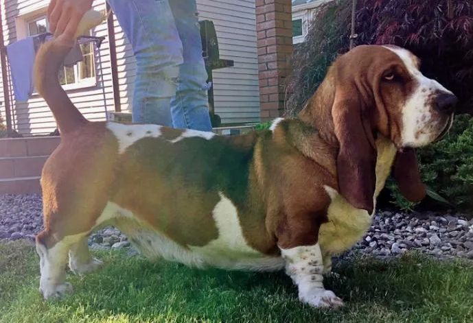 Publication : de la contree du milieu