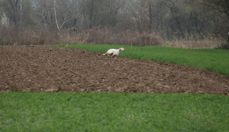 TR. CH. Hermès Les orangés d'Eole - TB