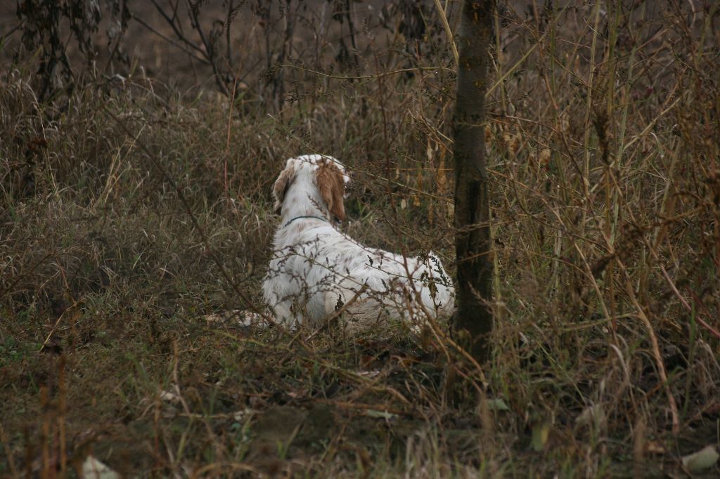 TR. CH. Hermès Les orangés d'Eole - EXC