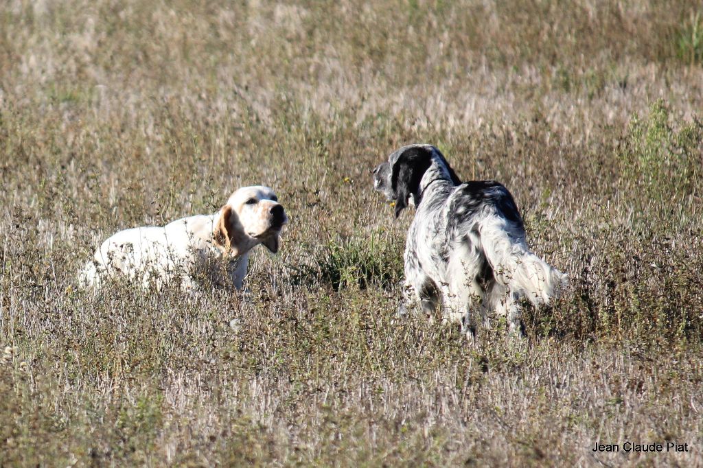 TR. CH. Hermès Les orangés d'Eole - RCACIT