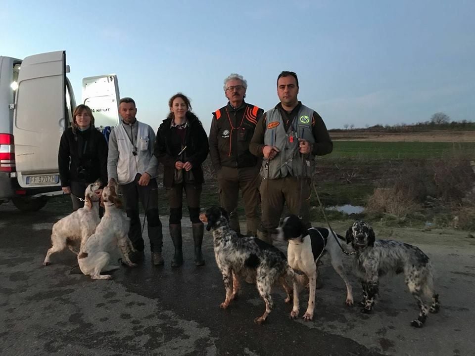 TR. CH. Hermès Les orangés d'Eole - EXC