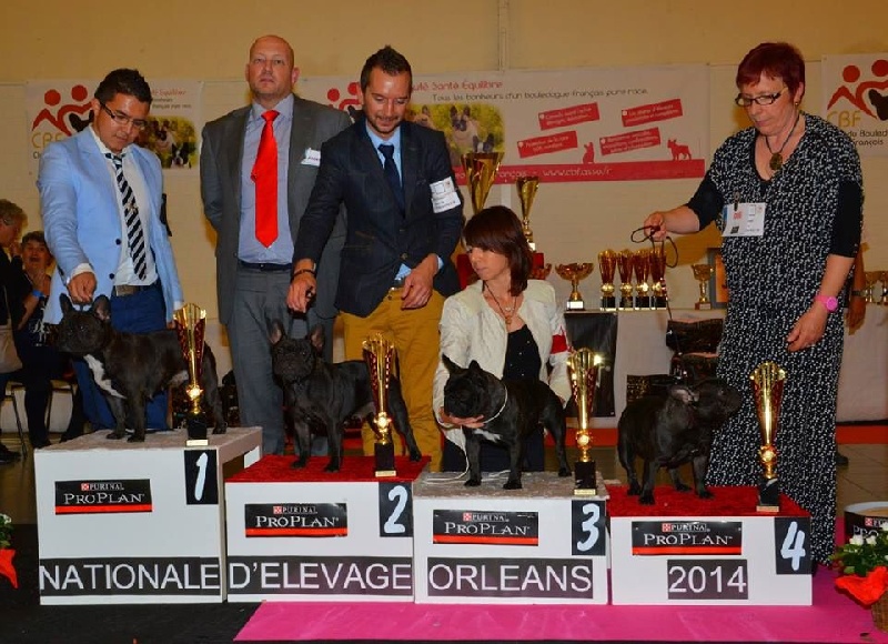 Heleonore Cazador del Pampa - 4eme EXCELLENT (25 entrées)