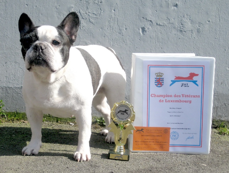 Topaze Du bois de saint-cyr - 1ere excellente CHAMPIONNE VETERAN DU LUXEMBOURG