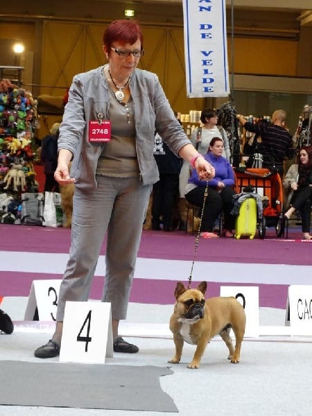 Hangele du square du p'tit quinquin - 4 eme EXCELLENT / 16