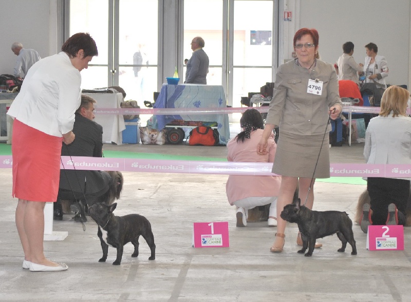 Heleonore Cazador del Pampa - 2eme EXCELLENT