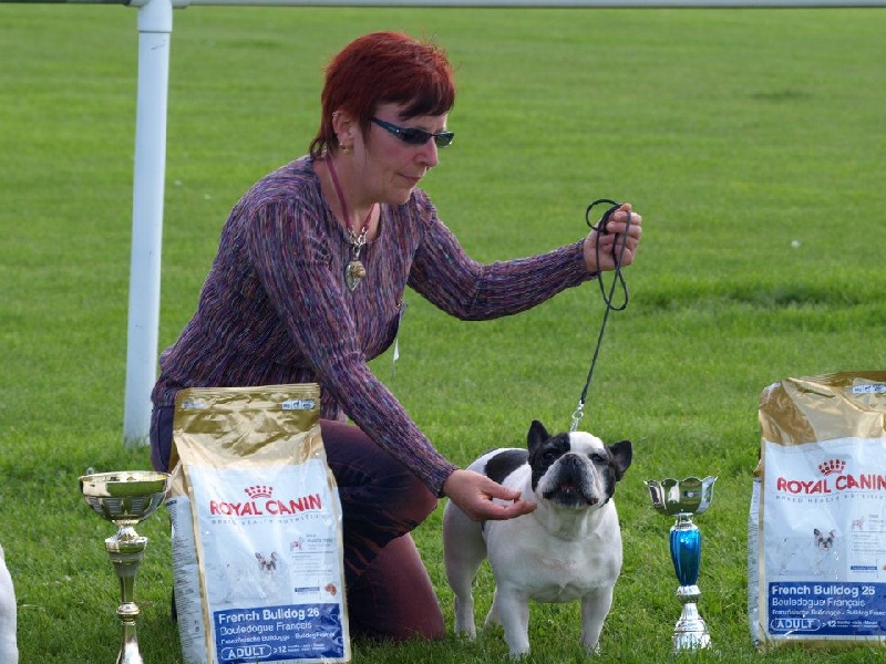Topaze Du bois de saint-cyr - 1ere excellente