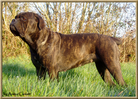 Publication : des Lares de l'Aurévière