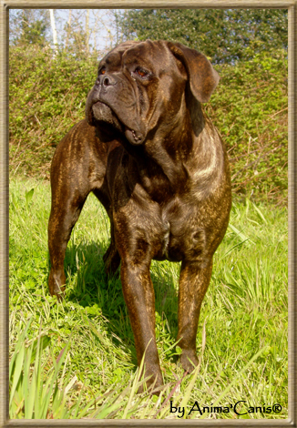 Publication : des Lares de l'Aurévière