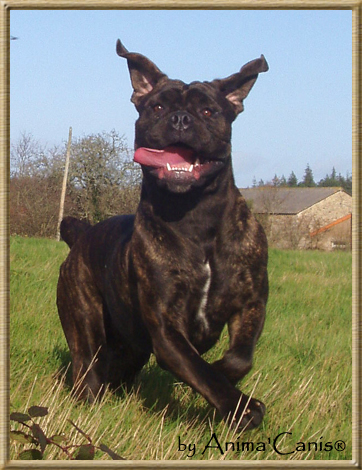 Publication : des Lares de l'Aurévière