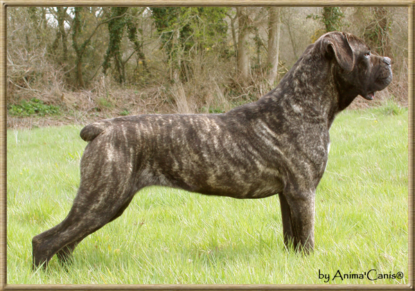 Publication : des Lares de l'Aurévière