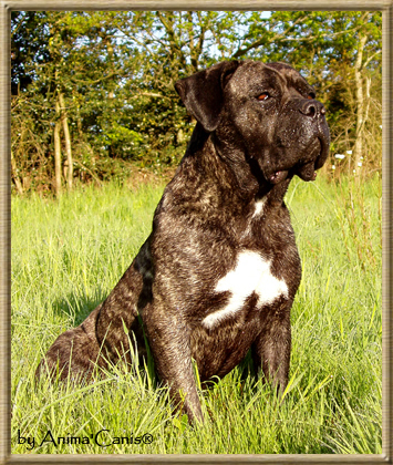 Publication : des Lares de l'Aurévière