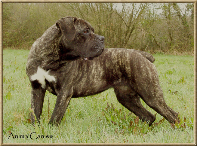 Publication : des Lares de l'Aurévière