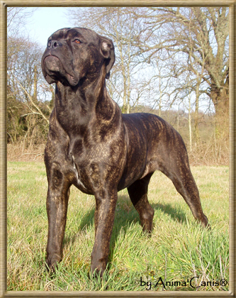 Publication : des Lares de l'Aurévière