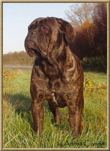 Publication : des Lares de l'Aurévière