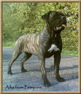 Publication : des Lares de l'Aurévière