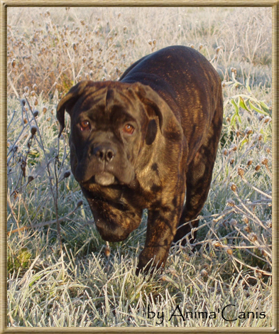 Publication : des Lares de l'Aurévière