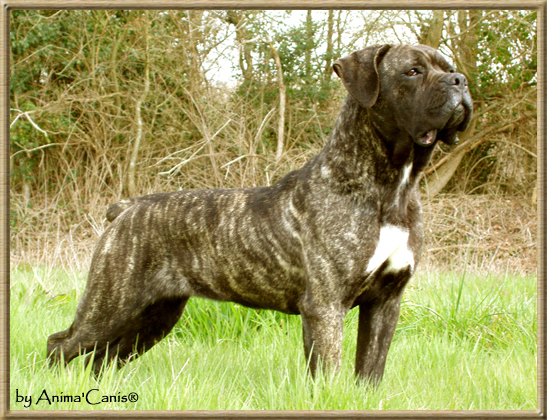 Publication : des Lares de l'Aurévière