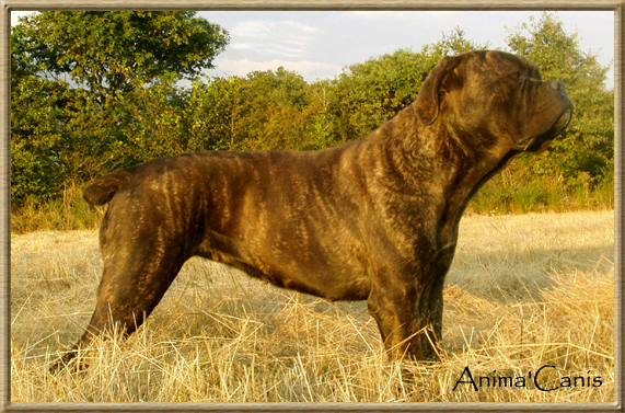 Publication : des Lares de l'Aurévière