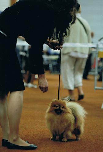 Publication : des Oursons de petit-palais