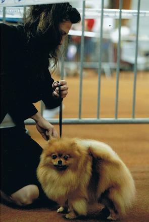 Publication : des Oursons de petit-palais